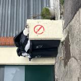 Foto de gato encontrado en Champigny Sur Marne