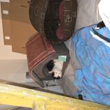 Foto de gato encontrado en Tauxigny