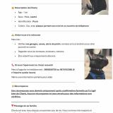 Foto del gato perdido en Bouafle