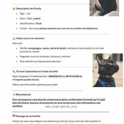 Foto 1/1 Charly Chat perdido en Bouafle