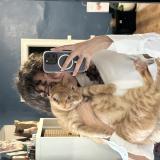 Foto del gato perdido en Gruchet Le Valasse