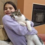 Foto del gato perdido en Meurchin