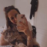 Foto del gato perdido en Saint Andre D Hebertot