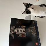 Foto del gato perdido en Reims