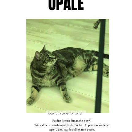 Foto 1/1 Opale Chat perdido en Cenon