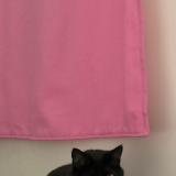 Foto del gato perdido en Aubervilliers