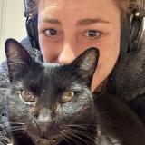 Foto del gato perdido en Toulouse