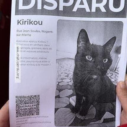 Foto 1/1 Kirikou Chat perdido en Nogent sur marne