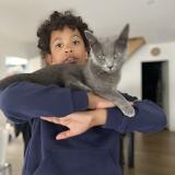 Foto del gato perdido en Vironvay