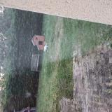 Foto de gato encontrado en Chatellerault