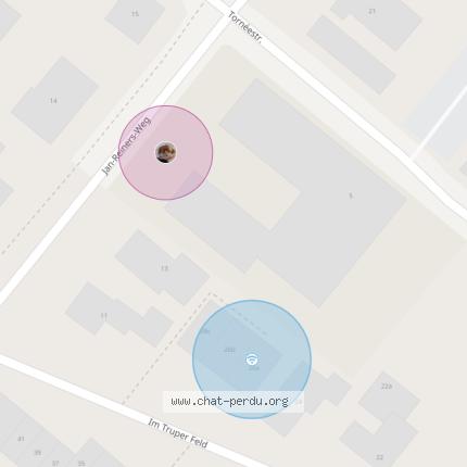 Foto 1/1 Baghera Chat perdido en Bruxelles