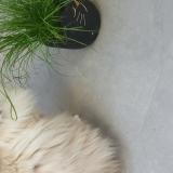 Foto del gato perdido en Ampsin