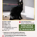 Foto del gato perdido en Sevran