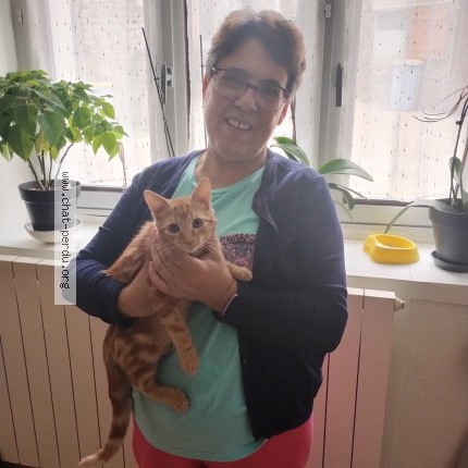 Foto de un gato reunido en Voiteur