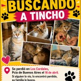 Tincho
