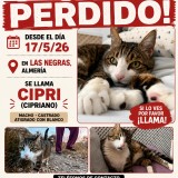 CIPRI