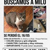 MILO