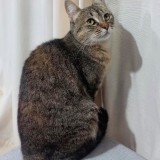 Morita