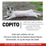 Copito