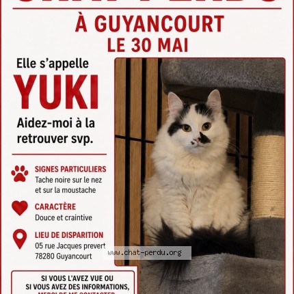 Foto de un gato reunido en Guyancourt