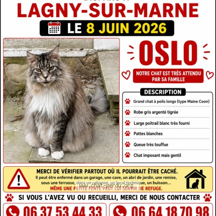 Foto de un gato reunido en Lagny Sur Marne