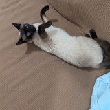 Lucy