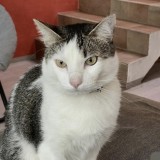 Ares