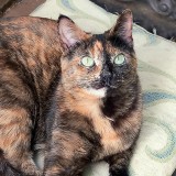 Olivia