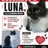 Luna