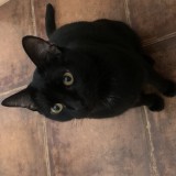 Miguel