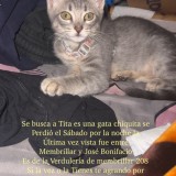 Tita