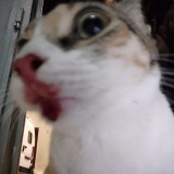 lili