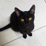 Sam