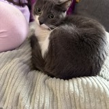 Minnie