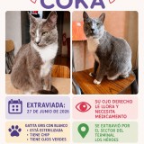 Coka
