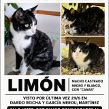 Lim&oacute;n