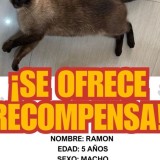 Ramon