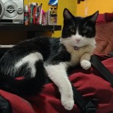 Diego