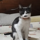 Frida