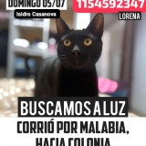 Luz