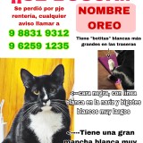 Oreo