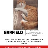 Garfield