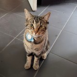 Oliver
