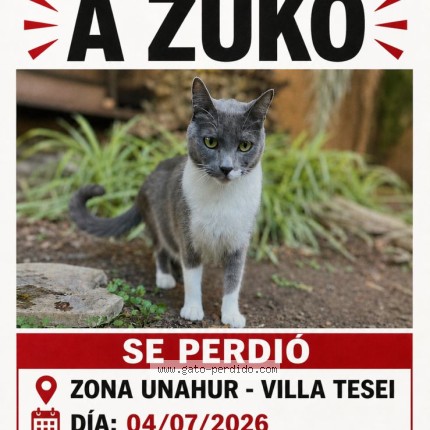 Foto del gato perdido en Hurlingham