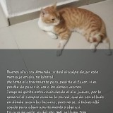 tom