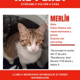 Merl&iacute;n