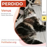 venus