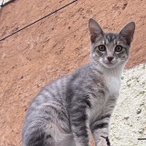 Juli&aacute;n