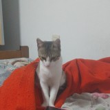 Erick