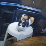 Perla